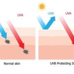 Diagram of broad-spectrum SPF and PA protection from UVA and UVB rays.