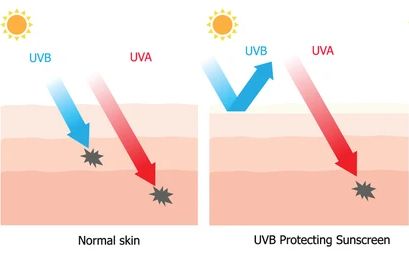 Diagram of broad-spectrum SPF and PA protection from UVA and UVB rays.
